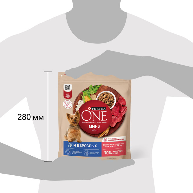 Purina ONE Мини сухой корм для собак мелких пород при активном образе жизни с говядиной и рисом - 600 г
