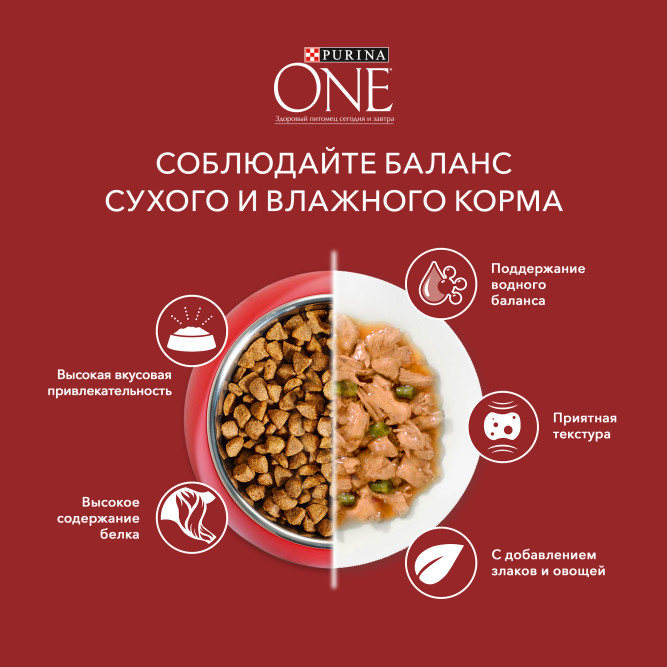 Purina ONE Мини сухой корм для собак мелких пород при активном образе жизни с говядиной и рисом - 600 г