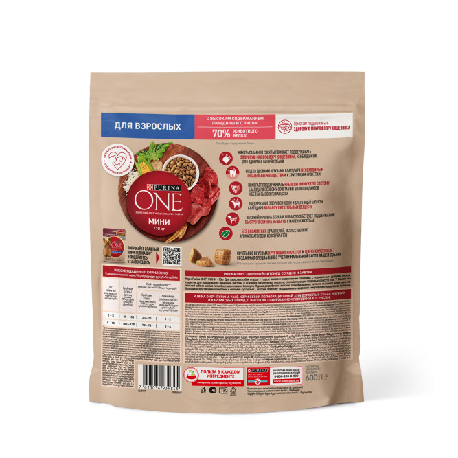 Purina ONE Мини сухой корм для собак мелких пород при активном образе жизни с говядиной и рисом - 600 г