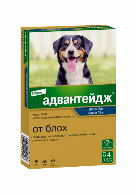 Адвантейдж капли на холку от блох для собак весом более 25 кг - 4 пипетки