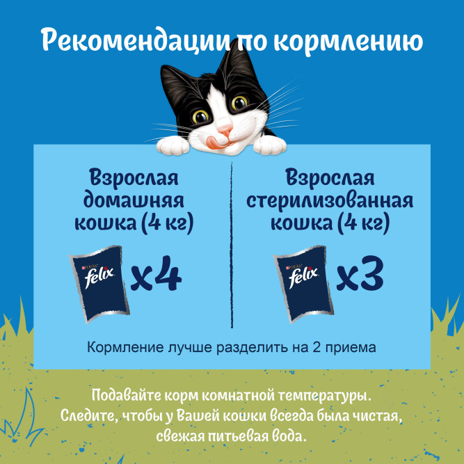 Felix Природа вкуса влажный корм для взрослых кошек с курицей, в паучах - 75 г х 26 шт