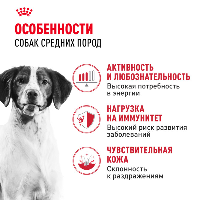 Royal Canin Medium Adult сухой корм для взрослых собак средних пород со свининой - 3 кг
