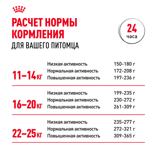 Royal Canin Medium Adult сухой корм для взрослых собак средних пород со свининой - 3 кг
