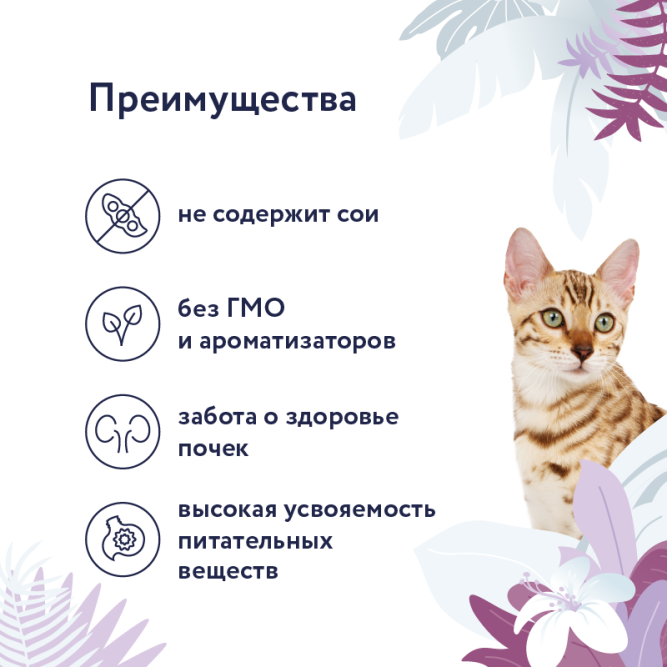 Florida Preventive Line Renal консервы для кошек при профилактике хронической почечной недостаточности, с индейкой - 100 г x 24 шт