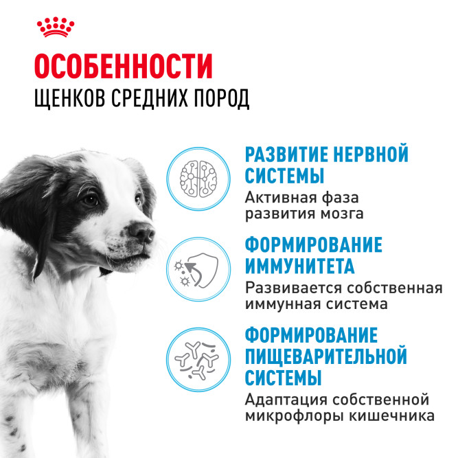 Royal Canin Medium Puppy сухой корм для щенков средних пород - 14 кг