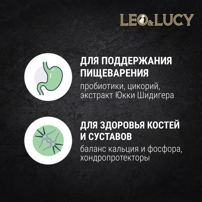 LEO&amp;LUCY сухой холистик корм для взрослых собак мелких пород с телятиной и яблоком - 4,5 кг