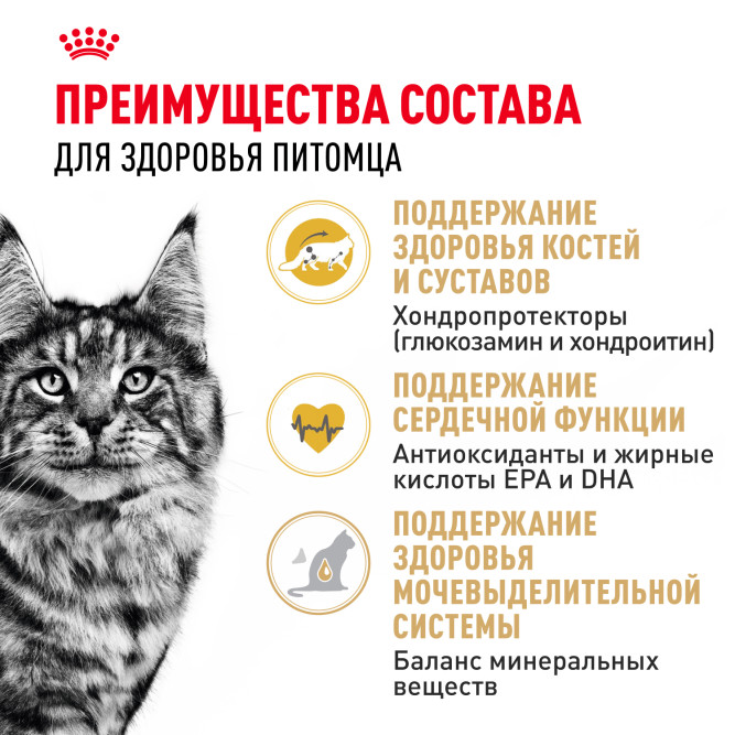 Royal Canin Maine Coon Adult сухой корм для взрослых кошек породы мейн - кун - 10 кг