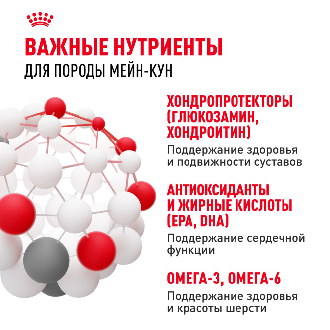 Royal Canin Maine Coon Adult сухой корм для взрослых кошек породы мейн - кун - 10 кг