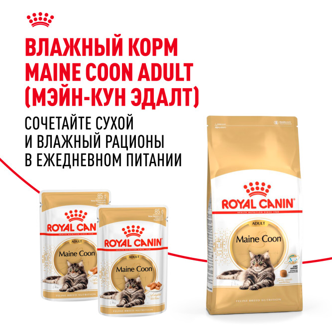Royal Canin Maine Coon Adult сухой корм для взрослых кошек породы мейн - кун - 10 кг