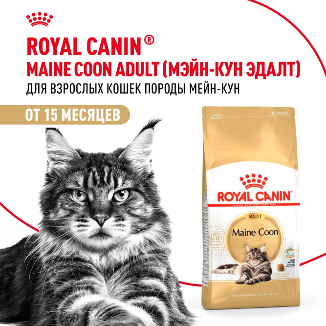 Royal Canin Maine Coon Adult сухой корм для взрослых кошек породы мейн - кун - 10 кг