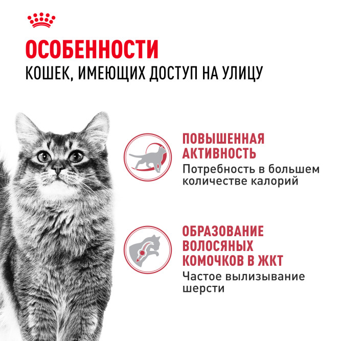 Royal Canin Fit сухой корм для кошек, бывающих на улице - 400 г