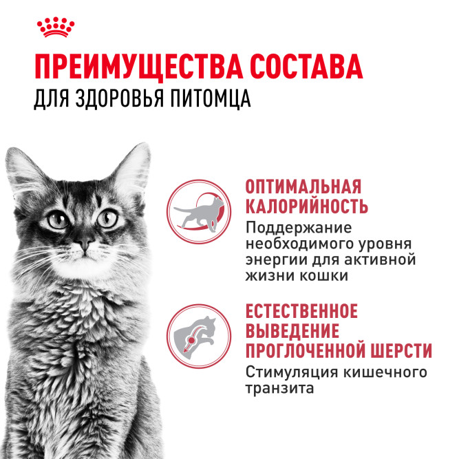 Royal Canin Fit сухой корм для кошек, бывающих на улице - 400 г