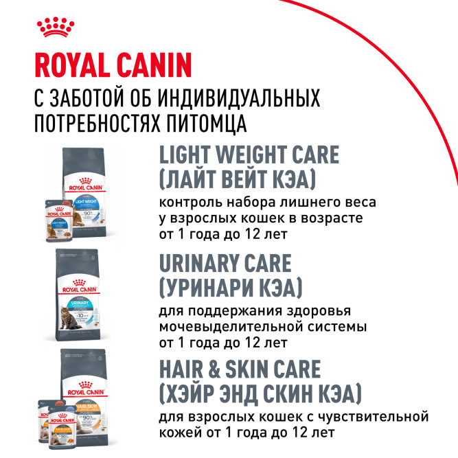 Royal Canin Maine Coon Adult для кошек породы мейн-кун в возрасте старше 15 месяцев - 2 кг