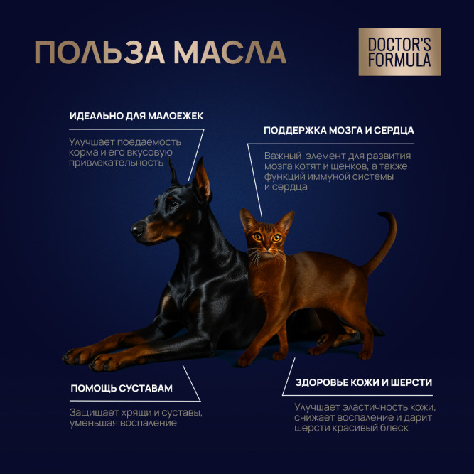 DOCTOR'S FORMULA масло дикой сардины для кошек и собак - 250 мл