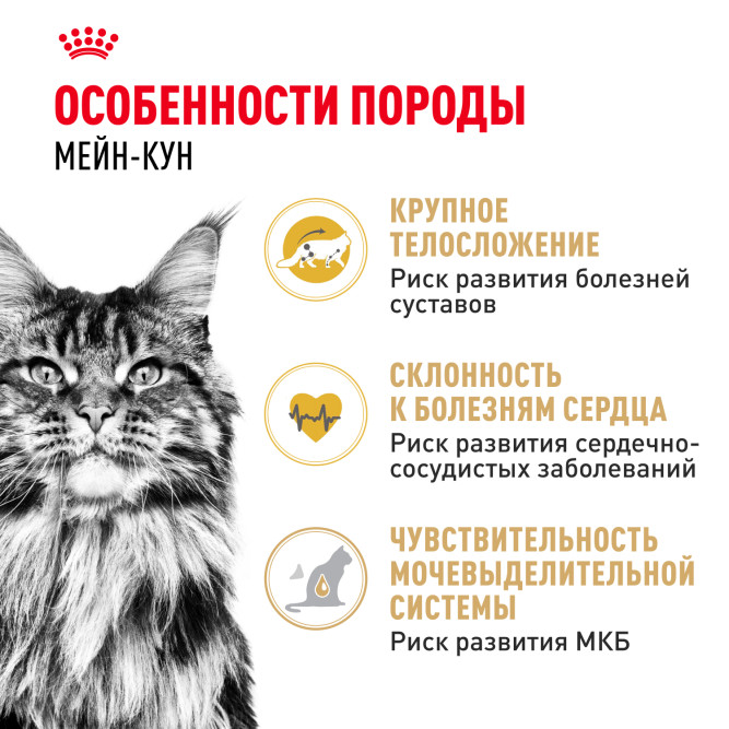 Royal Canin Maine Coon Adult для кошек породы мейн-кун в возрасте старше 15 месяцев - 4 кг