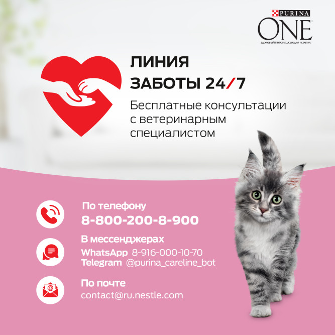 Purina One сухой корм для котят с курицей и цельными злаками - 200 г