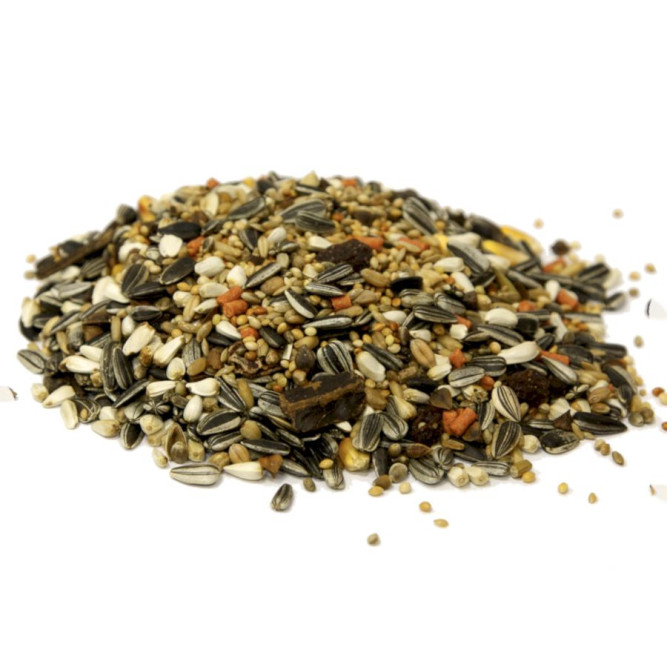 Fiory корм для средних попугаев Parrocchetti African - 3,2 кг