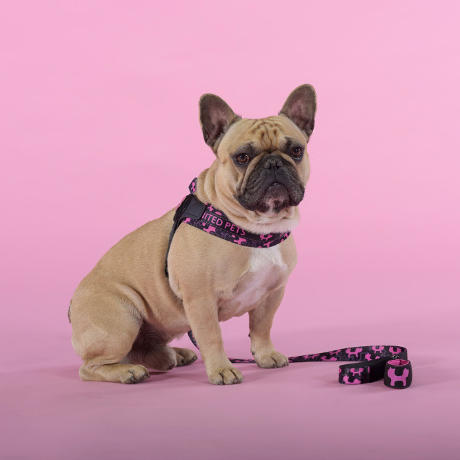 United Pets Complete me Identity шлейка для собак, 2,5 x 40-54 см, черная с розовым