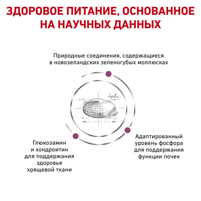 Royal Canin Mobility Support МС28 Feline сухой корм для кошек для увеличения подвижности суставов - 2 кг