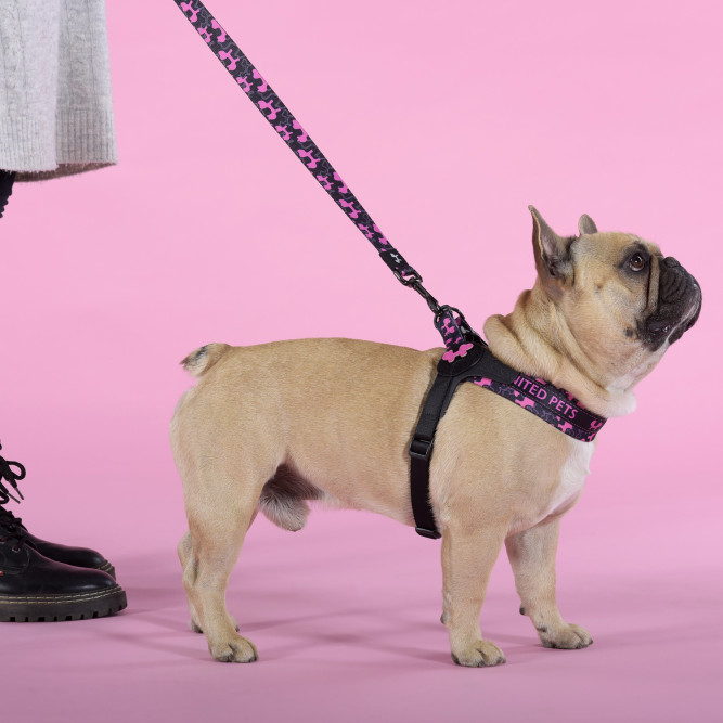 United Pets Complete me Identity шлейка для собак, 3,5 x 48-64 см, черная с розовым