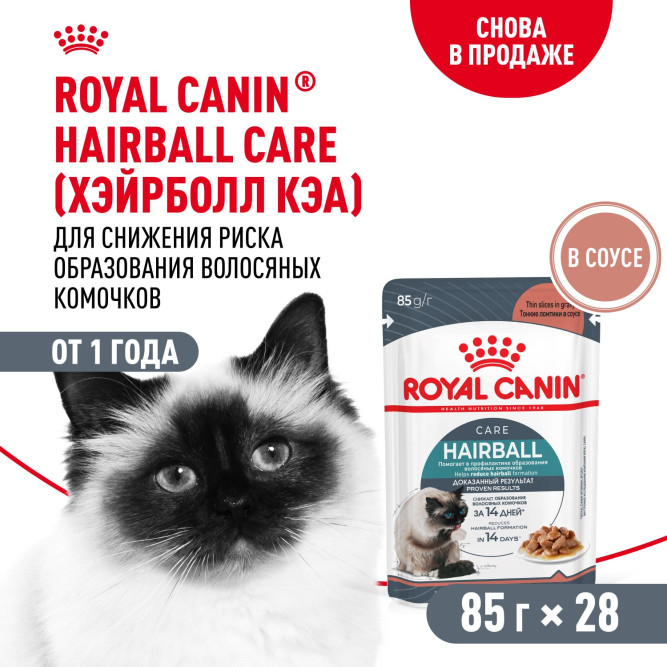 Royal Canin Hairboll Care влажный корм для взрослых кошек для снижения риска образования волосяных комочков, кусочки в соусе, в паучах - 85 г х 28 шт