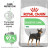 Royal Canin Mini Digestive Care сухой корм для собак с чувствительным пищеварением - 1 кг