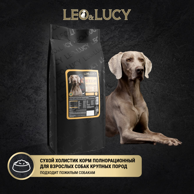 LEO&amp;LUCY сухой холистик корм для взрослых и пожилых собак крупных пород с уткой и тыквой - 4,5 кг