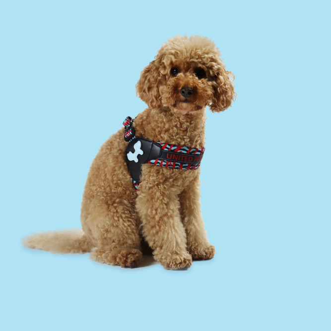 United Pets Complete me шлейка для собак, L 51 x 44-58 см, красная зебра