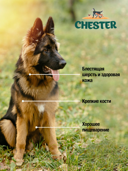 Chester влажный корм для взрослых собак всех пород, с индейкой и уткой, в консервах - 850 г х 6 шт
