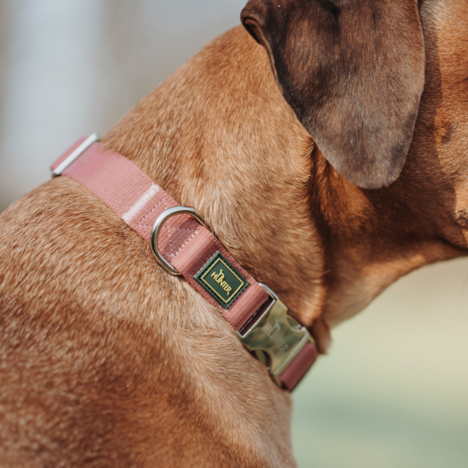 Hunter ALU-Strong Inari L ошейник для собак, 45-65 см, нейлон, с металлической застежкой, пепельная роза