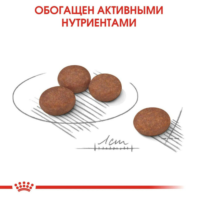 Royal Canin Mini Digestive Care сухой корм для собак с чувствительным пищеварением - 3 кг