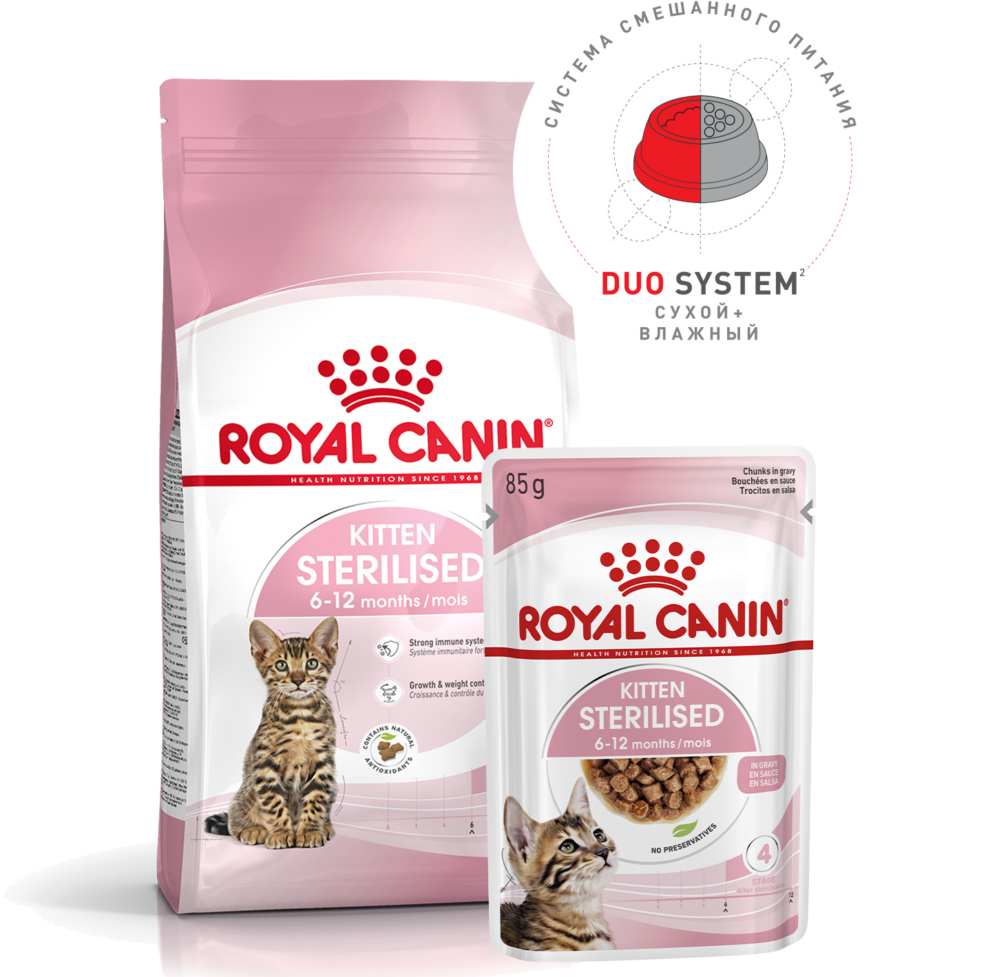 Royal Canin Kitten паучи для котят до 12 месяцев кусочки в соусе - 85 г х  24 шт - купить в Москве | КотМатрос